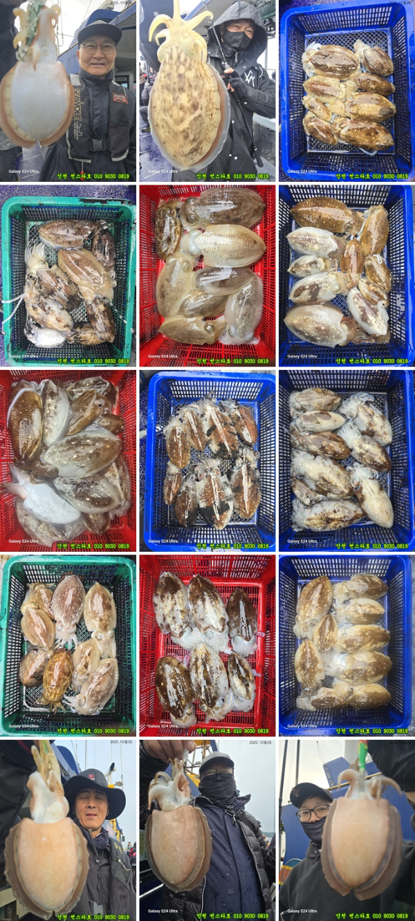 10월26 썬 (1)-tile.jpg