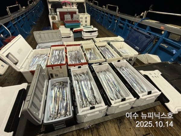 10월14일갈치 (56).jpg