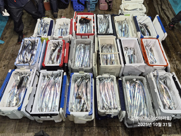 바다꾼낚시(신아라호)_사진_20251031_2.jpg