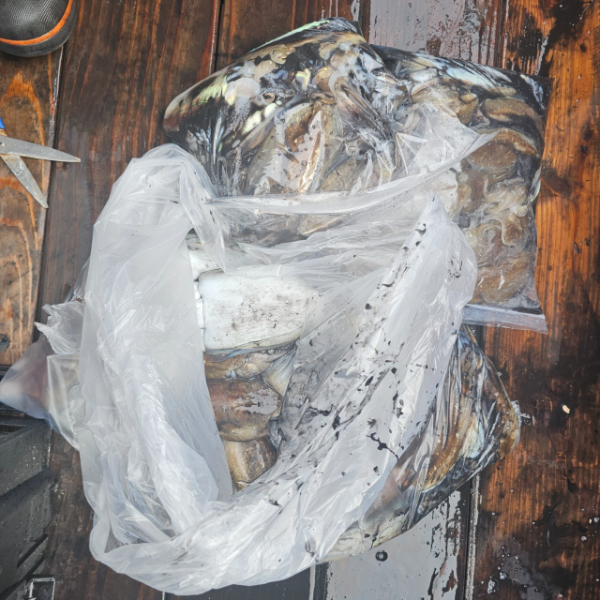 마검포 대한호(VIP)_사진_20251002_2.jpg