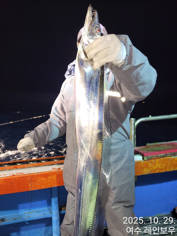 ♡여수레인보우♡갈치_열기_한치_갑오징어__사진_20251029_10.jpg