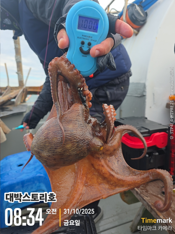 2025-10-31 08.34.45__(대박스토리호).jpg
