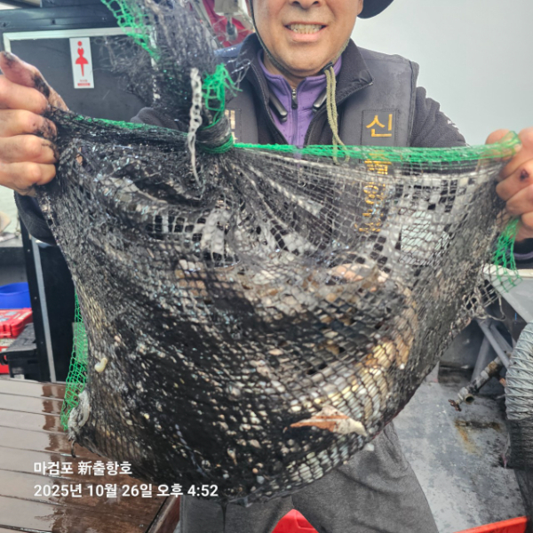 ꫛꫀꪝ✧‧˚ 태안 마검포 新출항호 .• _˚☀₊_사진_20251026_11.jpg