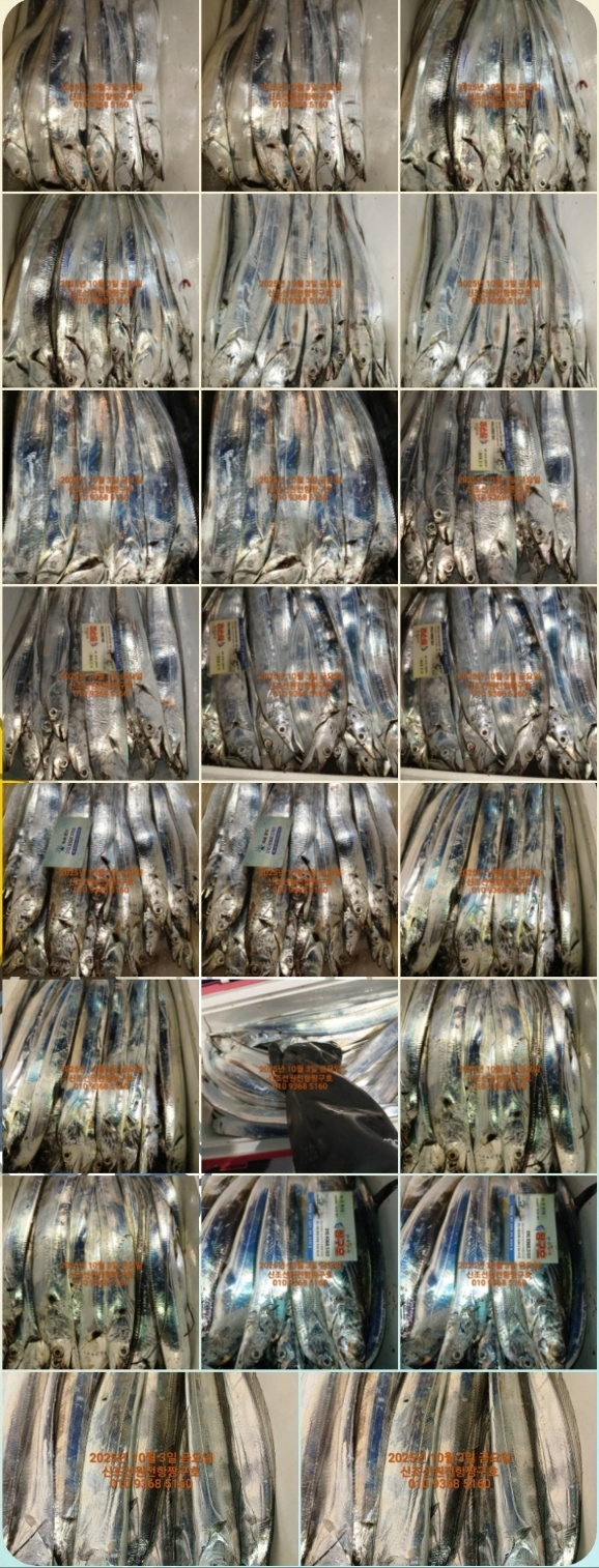 KakaoTalk_20251003_041426599.jpg