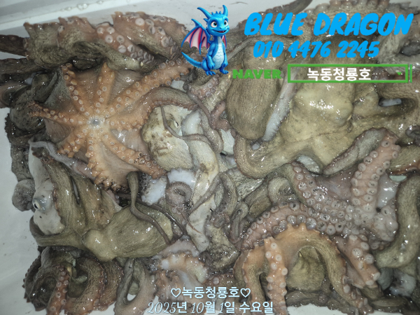 3b4afb8bfb6f09911ff84fcd742ee157.jpg