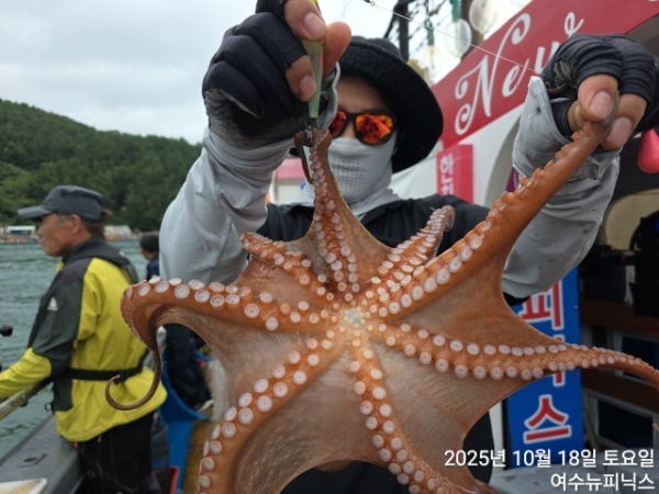 10월18일갑오징어 (19).jpg