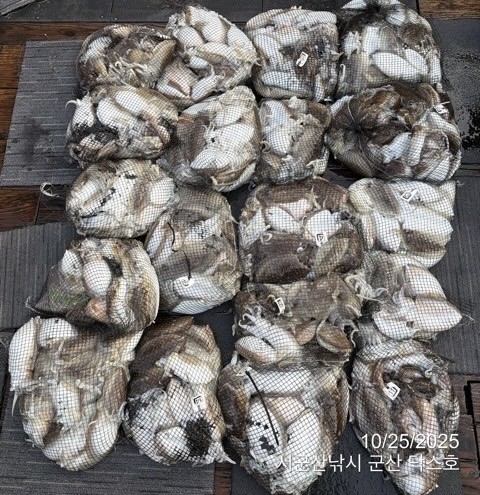 군산 선상낚시, 바다낚시 출조 전문 ☆서군산낚시☆_사진_20251025_16.jpg