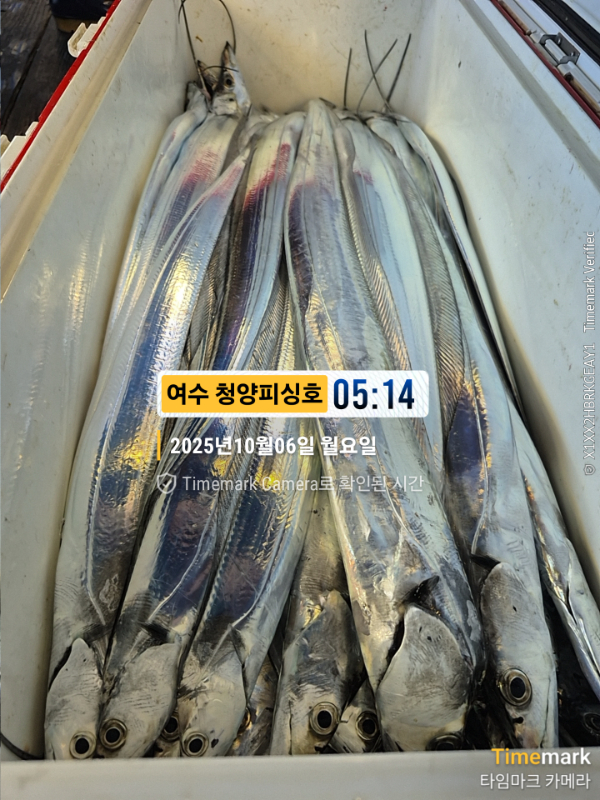 2025-10-06 05.14.07__(제목-여수 청양피싱호).jpg