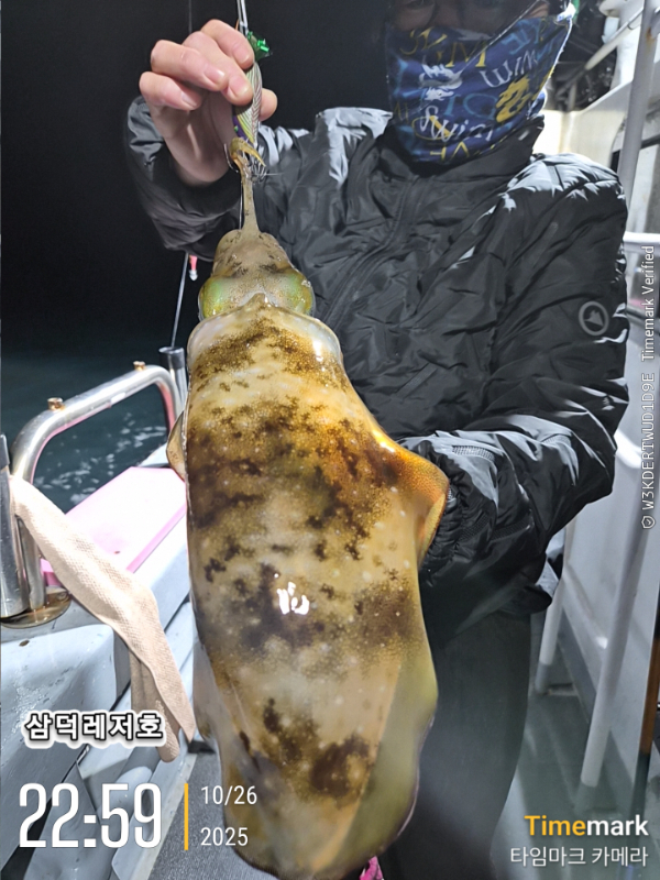 2025-10-26 22.59.24_.jpg