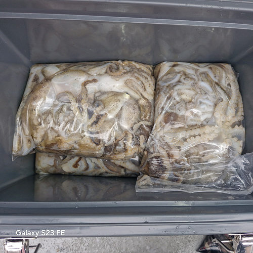 인천쭈꾸미낚시 (11).jpg