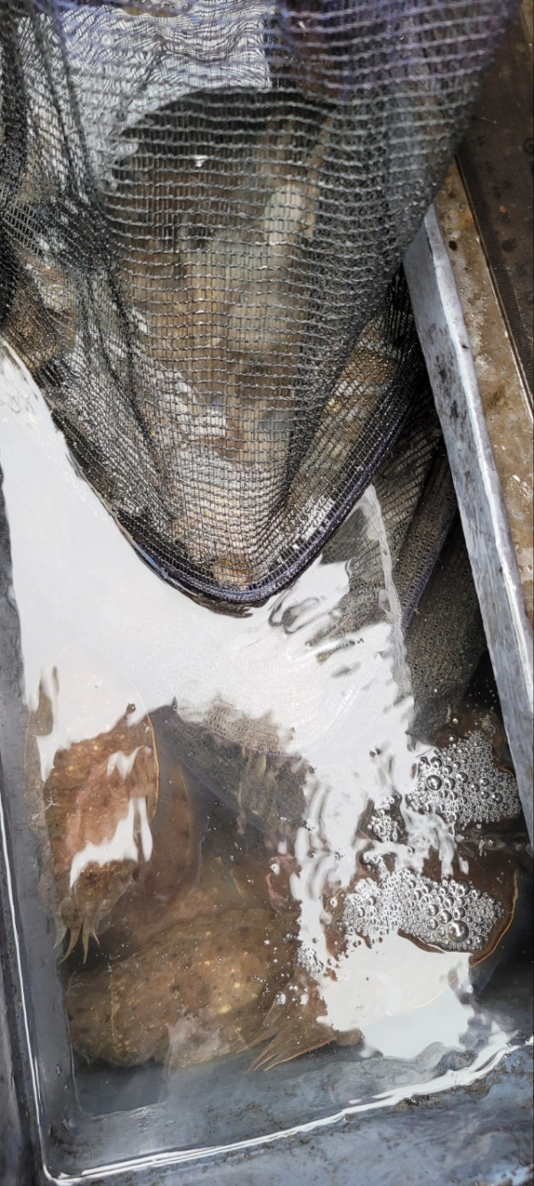 예지퀸호 농어외수질&어초낚시 경기인천권_사진_20251011_16.jpg