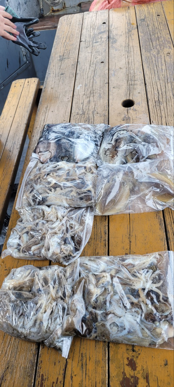 예지퀸호 농어외수질&어초낚시 경기인천권_사진_20251026_16.jpg