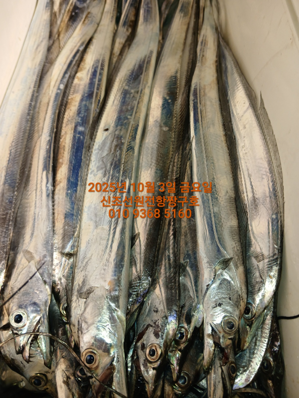 KakaoTalk_20251003_041329807_07.jpg