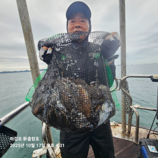 ꫛꫀꪝ✧‧˚ 태안 마검포 新출항호 .• _˚☀₊_사진_20251017_9.jpg