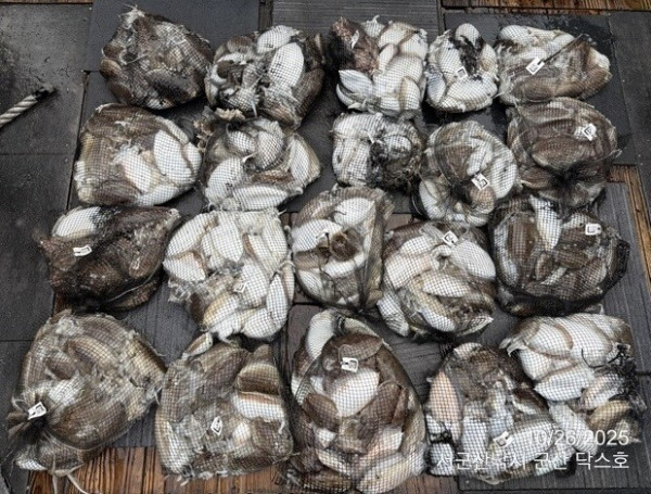 군산 선상낚시, 바다낚시 출조 전문 ☆서군산낚시☆_사진_20251026_3.jpg