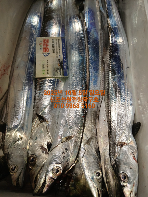 KakaoTalk_20251005_140543918_03.jpg