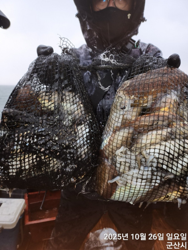 군산 선상낚시, 바다낚시 출조 전문 ☆서군산낚시☆_사진_20251026_6.jpg