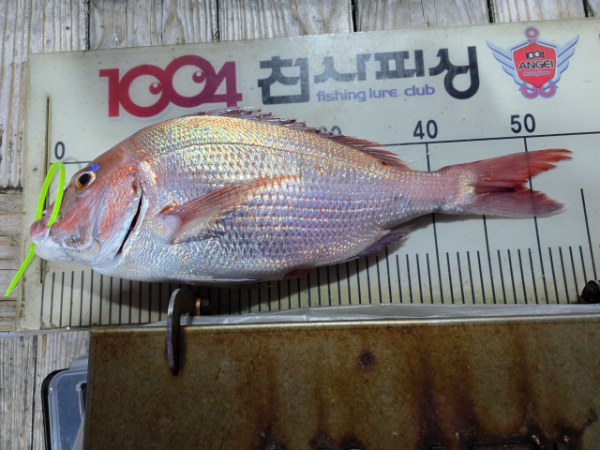 1004피싱_사진_20251026_19.jpg