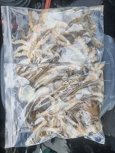 인천쭈꾸미낚시 (8).jpg