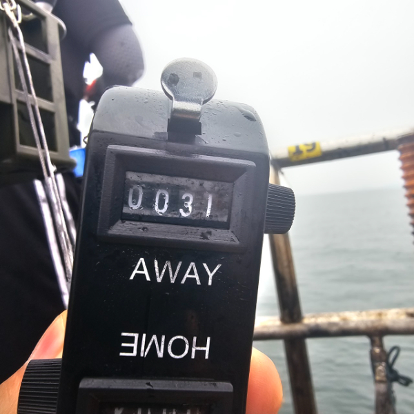 마검포 대한호(VIP)_사진_20251002_9.jpg