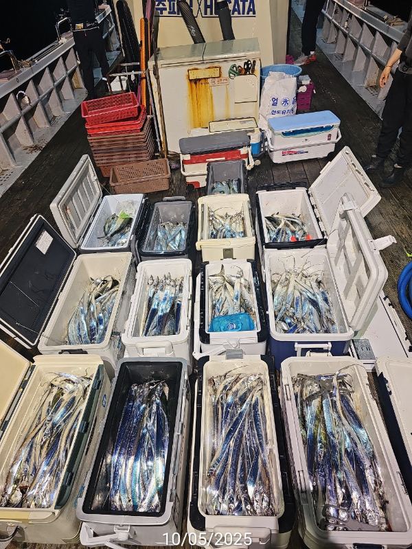 FF196271-BC80-428E-B42D-AD2567250E0A.jpeg