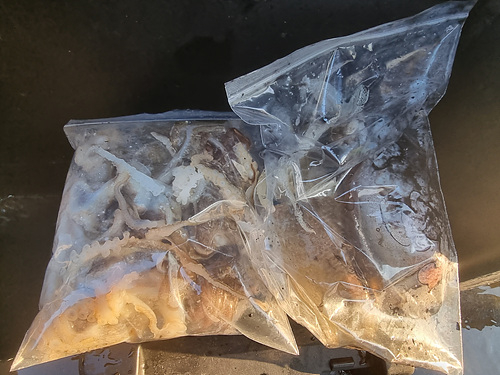 인천쭈꾸미낚시 (27).jpg