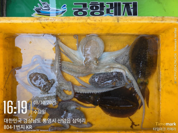 궁항레저_사진_20251008_6.jpg