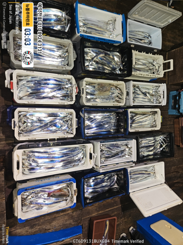 2025-10-31 03.03.57_Japan_(제목-뉴블루마린호)_(예약전화 010 8924 3131).jpg