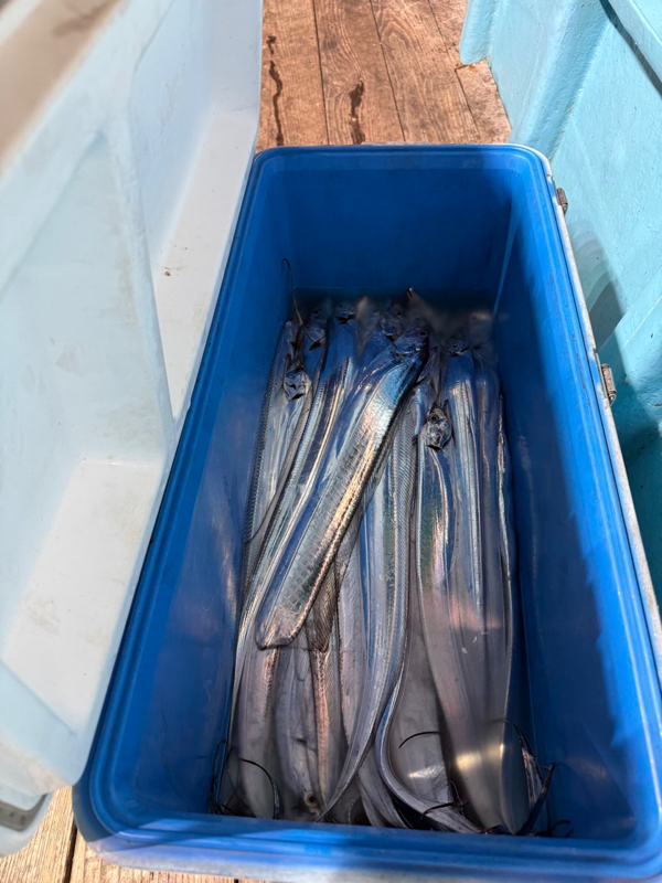 제주 쏘니호_사진_20251007_14.jpg