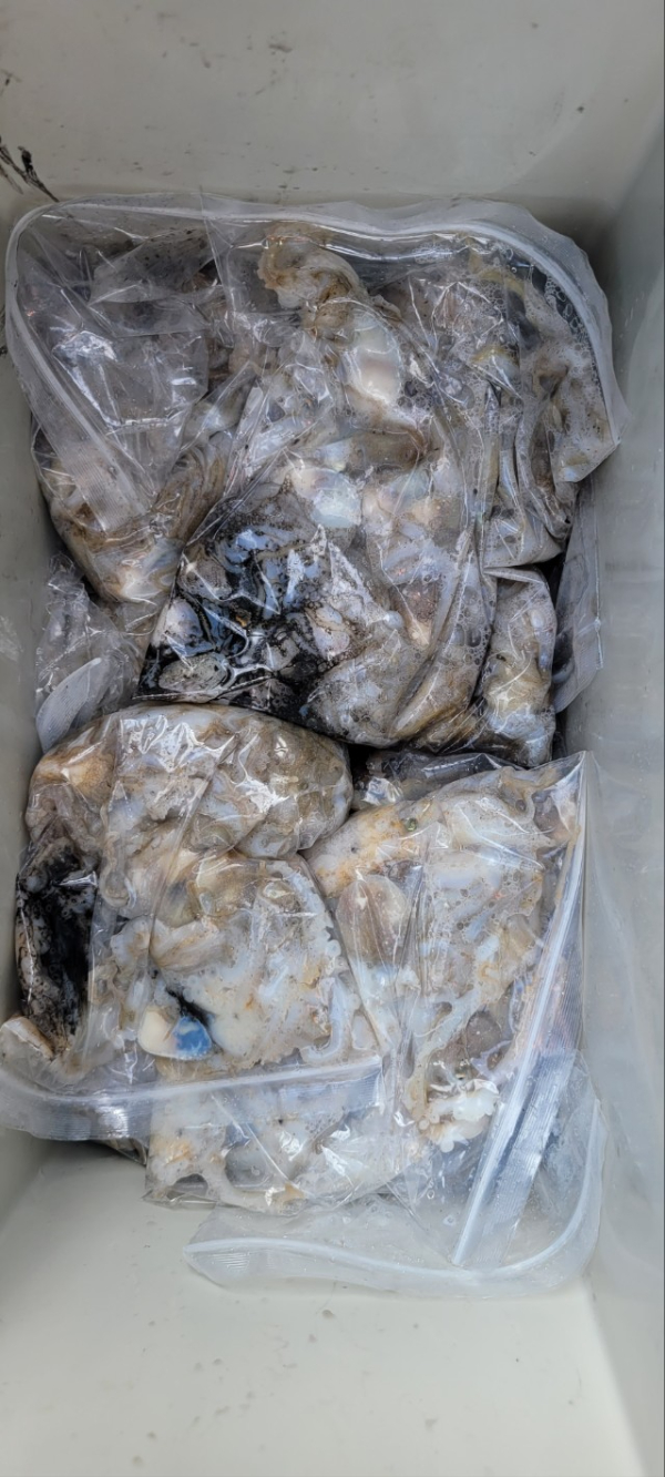 예지퀸호 농어외수질&어초낚시 경기인천권_사진_20251001_15.jpg