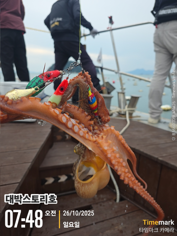 2025-10-26 07.48.47__(대박스토리호).jpg