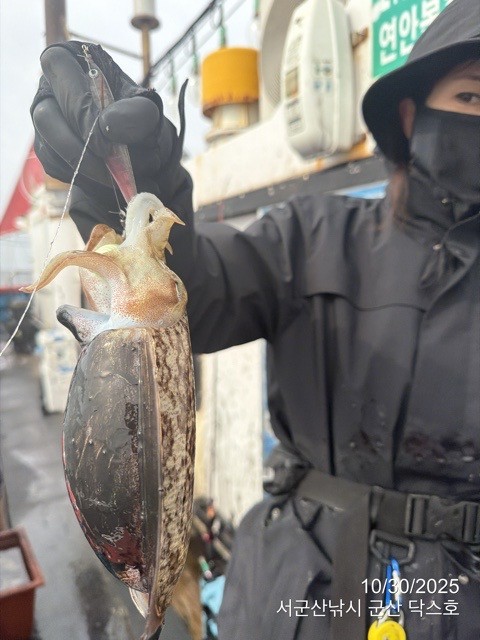군산 선상낚시, 바다낚시 출조 전문 ☆서군산낚시☆_사진_20251030_13.jpg