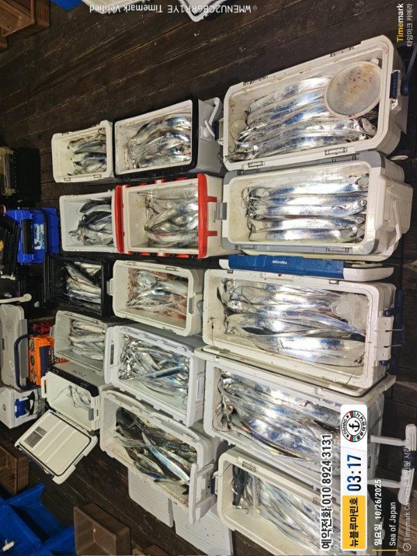 2025-10-26 03.17.27_Japan_(제목-뉴블루마린호)_(예약전화 010 8924 3131).jpg