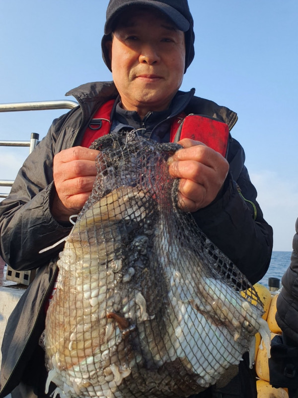 군산 선상낚시, 바다낚시 출조 전문 ☆서군산낚시☆_사진_20251031_1.jpg