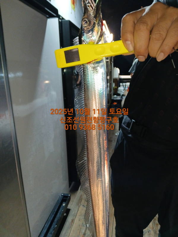 KakaoTalk_20251012_065148435_16.jpg