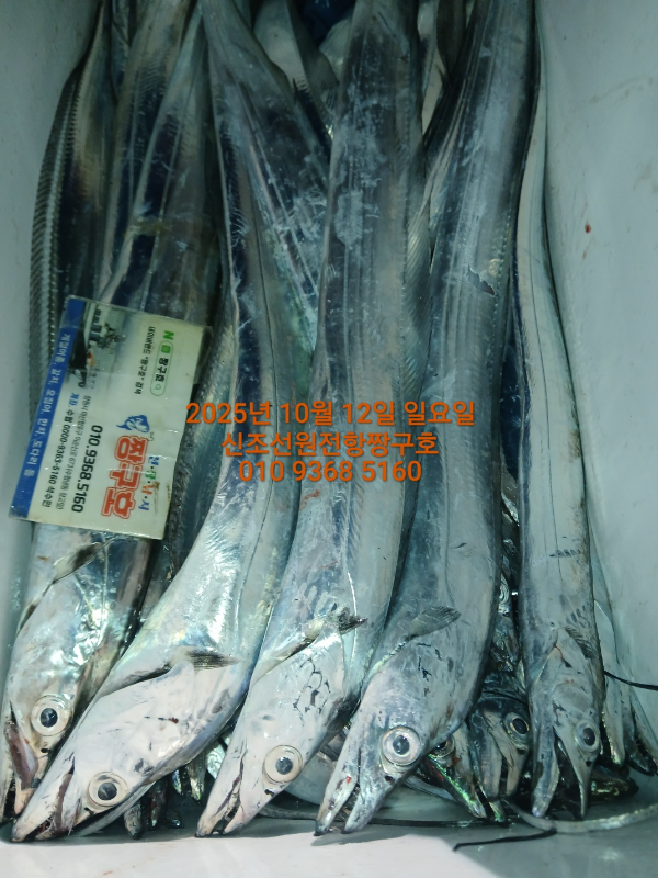KakaoTalk_20251012_065148435_06.jpg