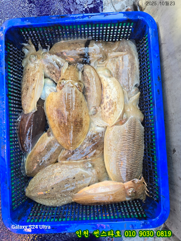 10월23 썬 (12).jpg