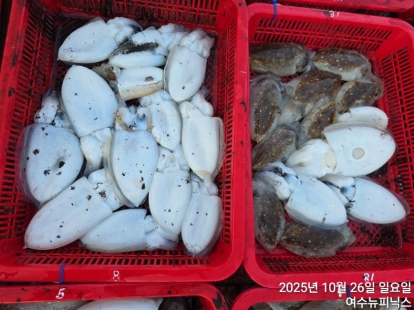 10월26일갑이 (22).jpg