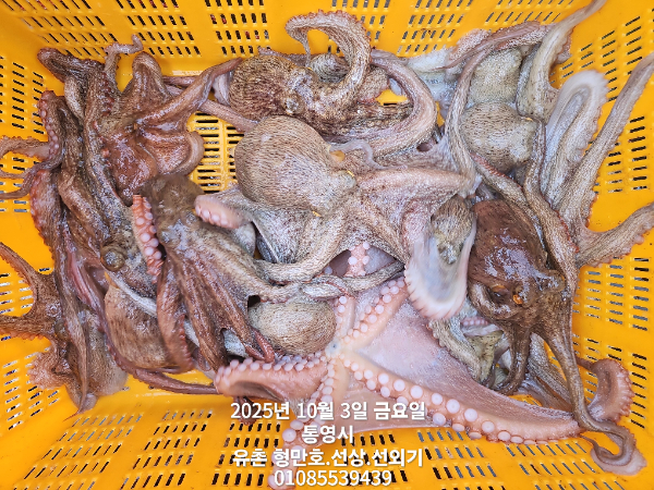 43aa9b33a9e1e4042403a6c7e751236b.jpg