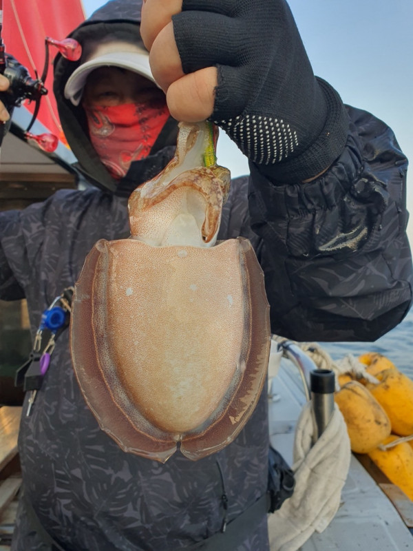 군산 선상낚시, 바다낚시 출조 전문 ☆서군산낚시☆_사진_20251031_13.jpg