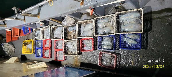 DateCamera1007004850.jpg