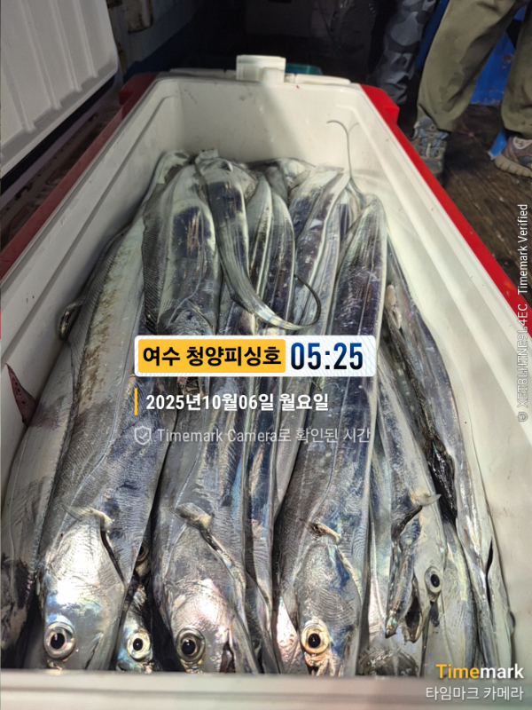 2025-10-06 05.25.33__(제목-여수 청양피싱호).jpg