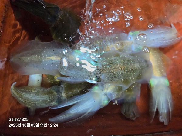 43f04beccff470d2ada13f88f56d4b57.jpg