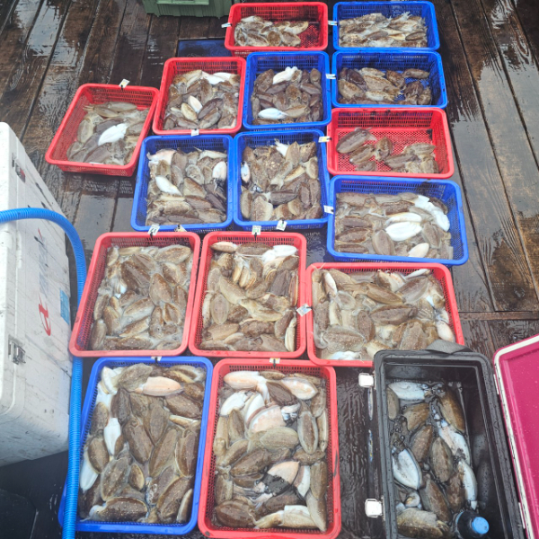 마검포 대한호(VIP)_사진_20251017_2.jpg