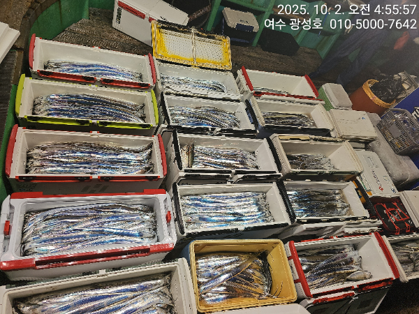 KakaoTalk_20251002_144303273_07.jpg