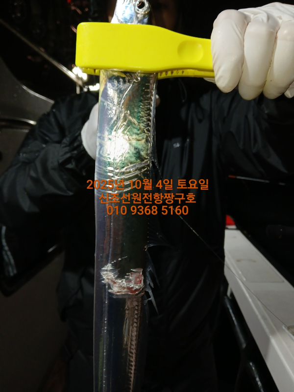 KakaoTalk_20251004_120642839_01.jpg