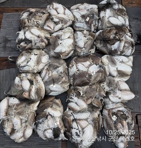 군산 선상낚시, 바다낚시 출조 전문 ☆서군산낚시☆_사진_20251025_1.jpg