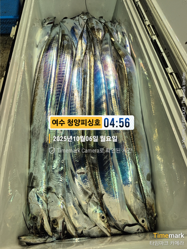 2025-10-06 04.56.13__(제목-여수 청양피싱호).jpg