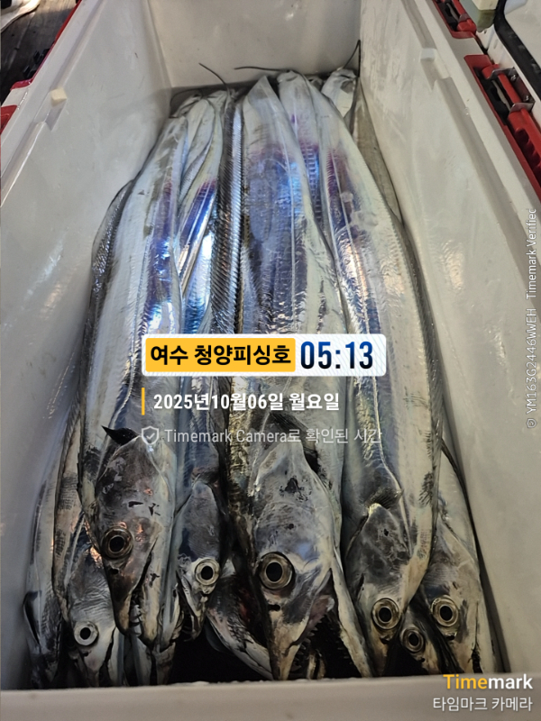 2025-10-06 05.13.20__(제목-여수 청양피싱호).jpg