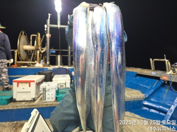 10월26일갈치 (4).jpg
